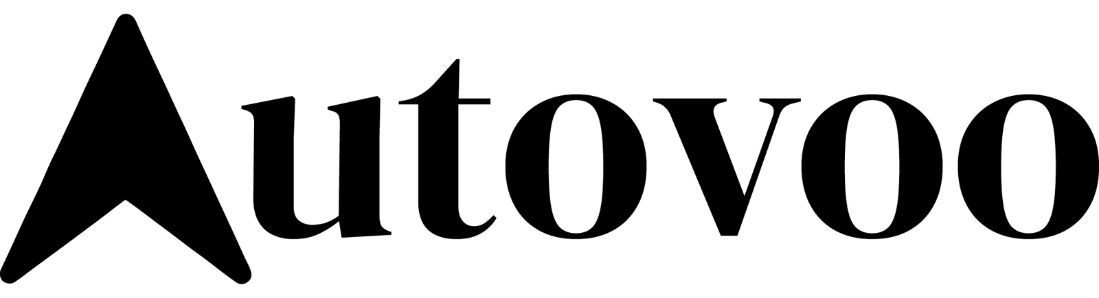 AutoVoo